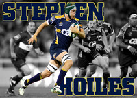 Stephen Hoiles